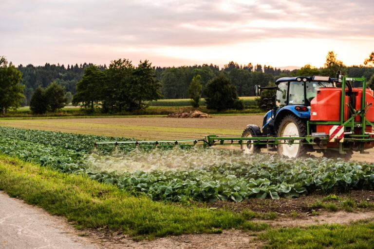 Tractor spraying pesticides on cabbage field